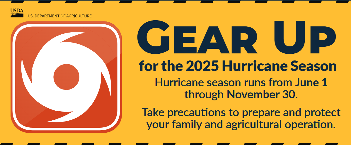 Toolkit: Hurricane Preparedness 2025 Toolkit: Hurricane Preparedness 2025